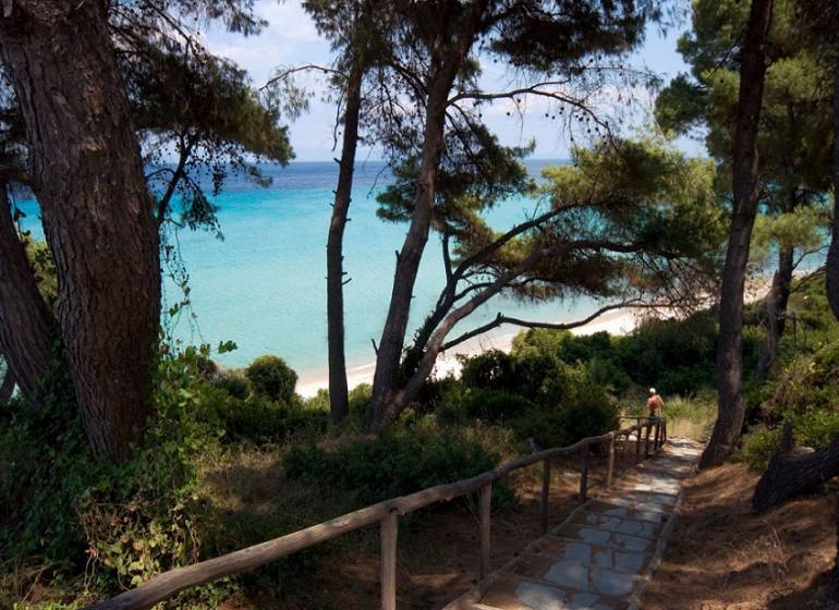Hotel Palladium, Halkidiki
